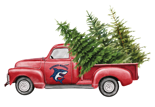 Christmas Tree Pick Up